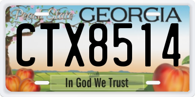 GA license plate CTX8514