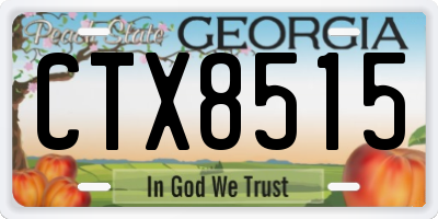 GA license plate CTX8515