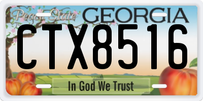 GA license plate CTX8516
