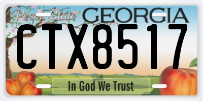 GA license plate CTX8517
