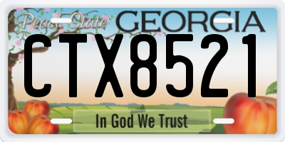 GA license plate CTX8521