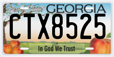 GA license plate CTX8525