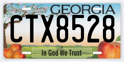 GA license plate CTX8528