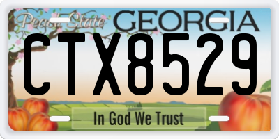GA license plate CTX8529