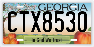 GA license plate CTX8530
