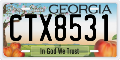 GA license plate CTX8531