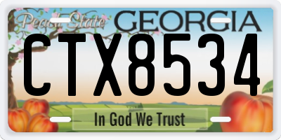 GA license plate CTX8534