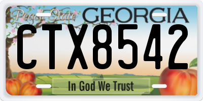 GA license plate CTX8542