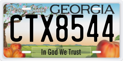 GA license plate CTX8544