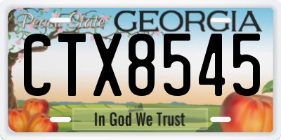 GA license plate CTX8545
