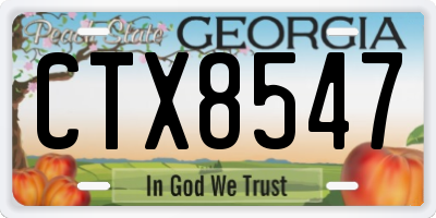 GA license plate CTX8547