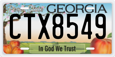 GA license plate CTX8549