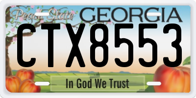 GA license plate CTX8553