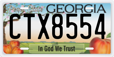 GA license plate CTX8554