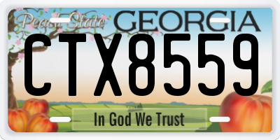 GA license plate CTX8559