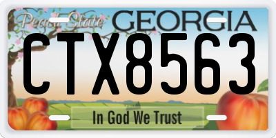 GA license plate CTX8563