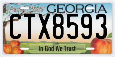 GA license plate CTX8593