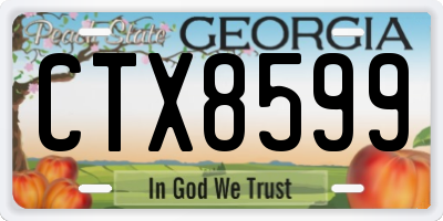 GA license plate CTX8599