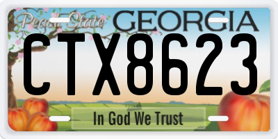 GA license plate CTX8623