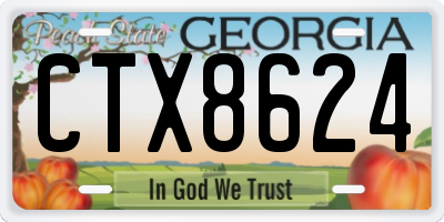 GA license plate CTX8624