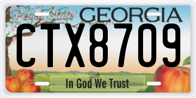 GA license plate CTX8709
