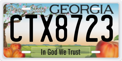 GA license plate CTX8723