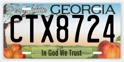 GA license plate CTX8724