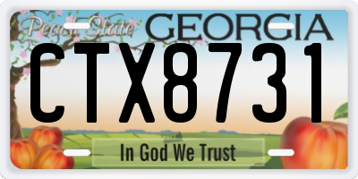 GA license plate CTX8731