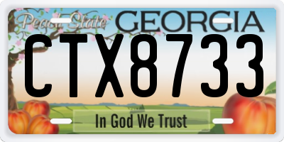GA license plate CTX8733