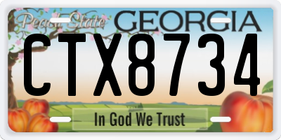 GA license plate CTX8734