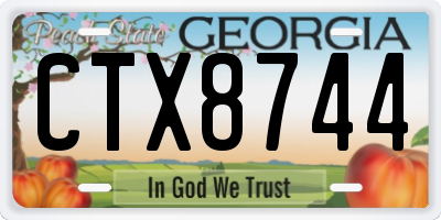 GA license plate CTX8744
