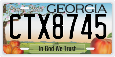 GA license plate CTX8745