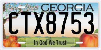 GA license plate CTX8753