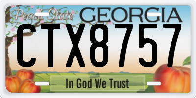 GA license plate CTX8757