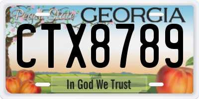 GA license plate CTX8789