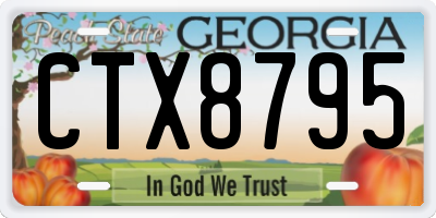 GA license plate CTX8795