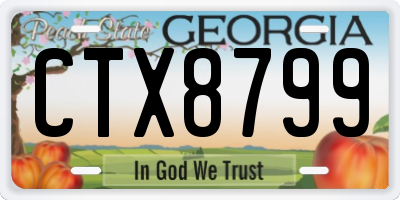 GA license plate CTX8799