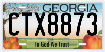 GA license plate CTX8873