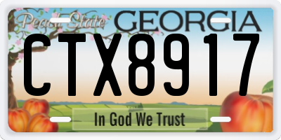 GA license plate CTX8917