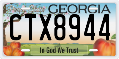 GA license plate CTX8944