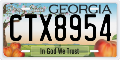 GA license plate CTX8954