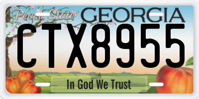 GA license plate CTX8955
