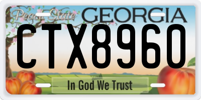 GA license plate CTX8960