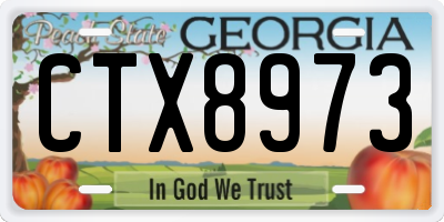 GA license plate CTX8973