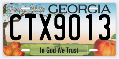 GA license plate CTX9013
