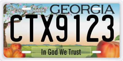 GA license plate CTX9123