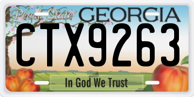 GA license plate CTX9263