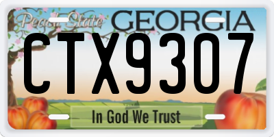 GA license plate CTX9307