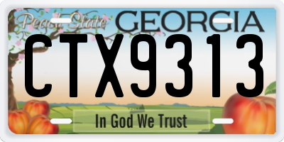 GA license plate CTX9313