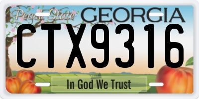 GA license plate CTX9316
